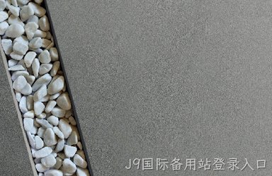 {城市}瑞加漆业有限公司